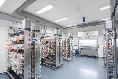 3D動(dòng)物模型有望取代實(shí)驗(yàn)鼠